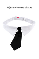 Midlee - Formal Black Doggy Tie.