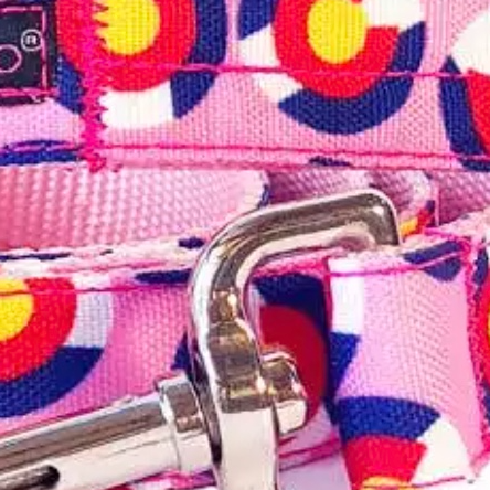 Colorado Dog Leash-Thin Lead.