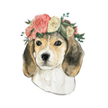 Flower Crown Beagle Sticker