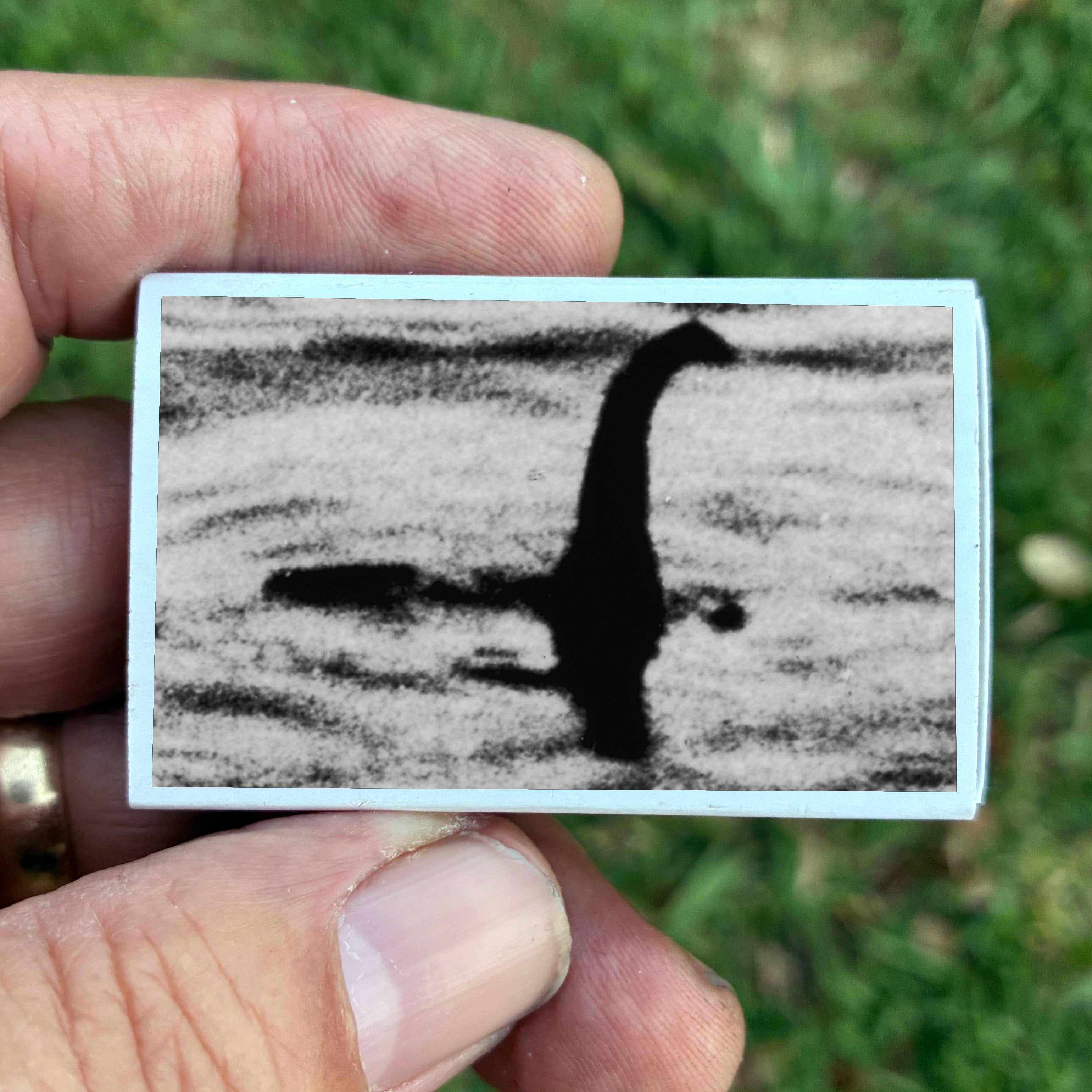 Matches • Loch Ness Monster • Home Decor for Candles