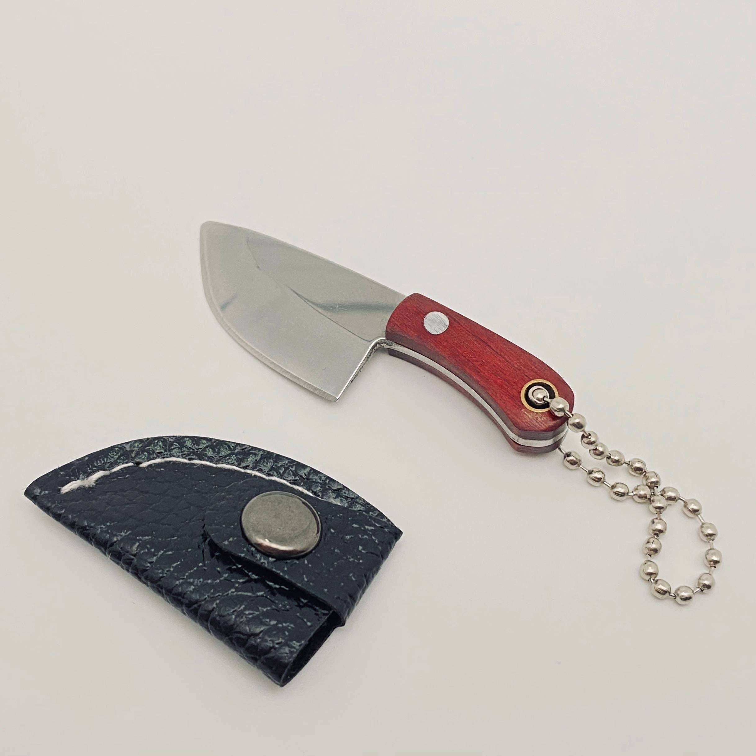 Mini Knife With Key Ring and Case