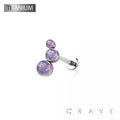 Titanium Threadless (Push In) Round Labret