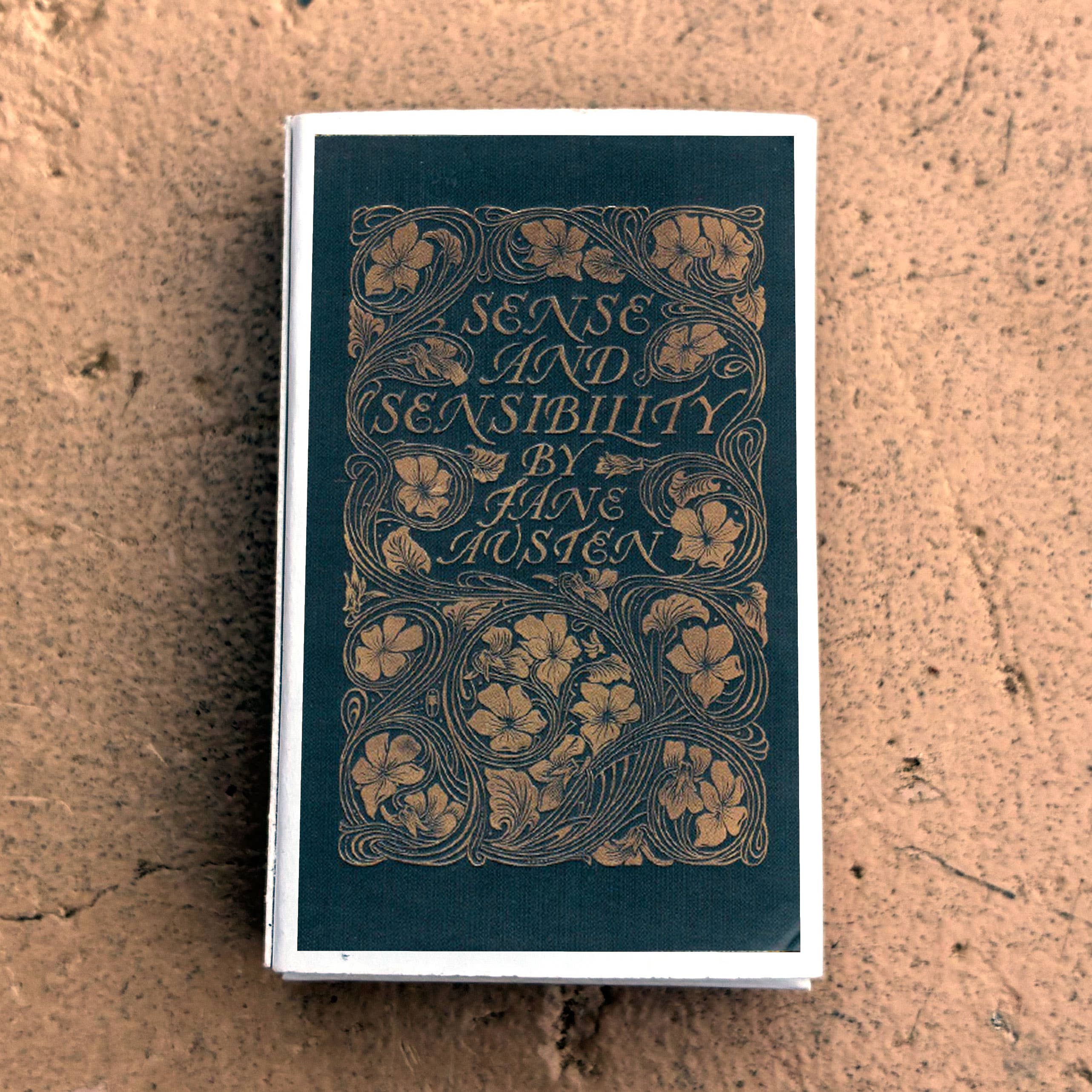 Matches • Sense and Sensability Austen • Home Decor