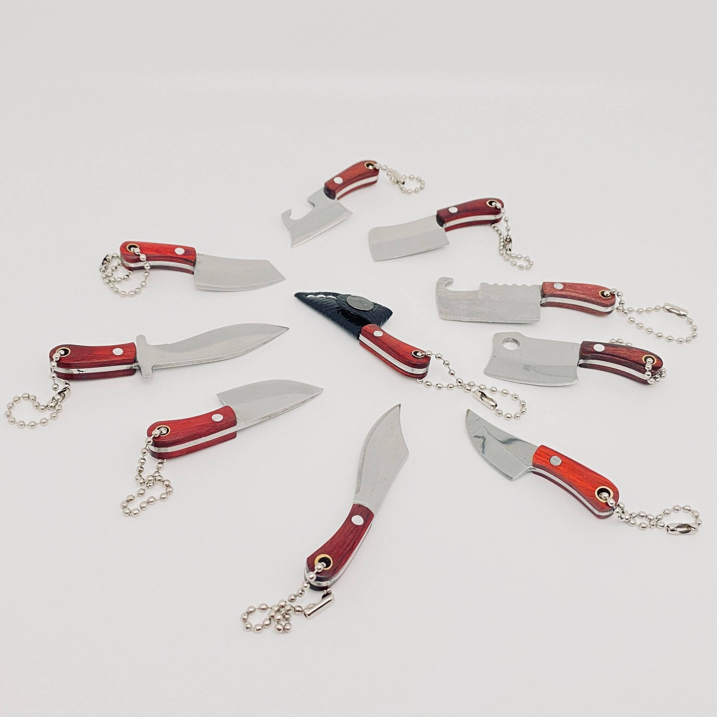 Mini Knife With Key Ring and Case