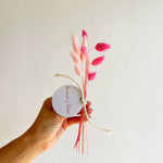 Valentine's Day Dried Flowers: Bunny Tail Bundle (Light Pink and Dark Pink)