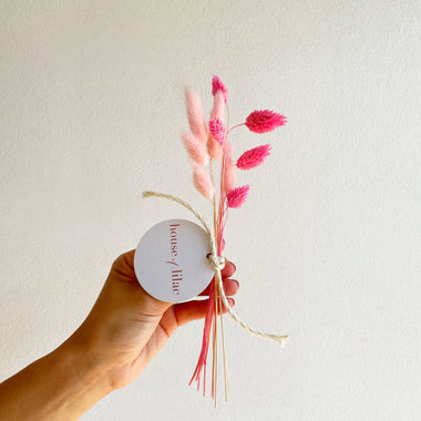 Dried Flowers: Bunny Tail Bundle (Light Pink and Dark Pink)