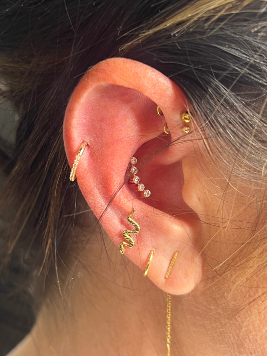 Needle Piercing-Tragus/Conch/Rook/Daith/Snug
