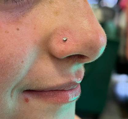 Book a Piercing Party or Pop-up