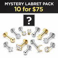 Titanium Labret Jewelry Bundle – 10 Piece Assorted Pack (Gold & Silver)