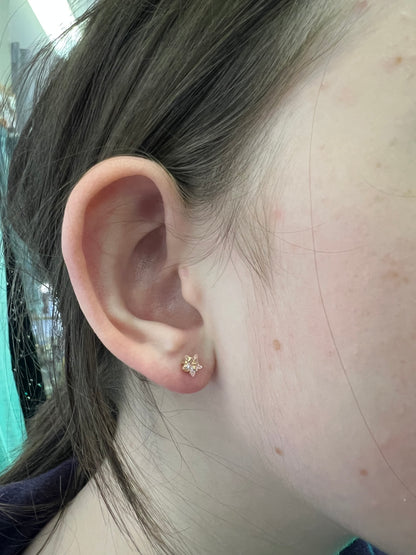 Book a Piercing Party or Pop-up