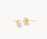 Cailin Gold Crystal Stud Earrings in White Crystal