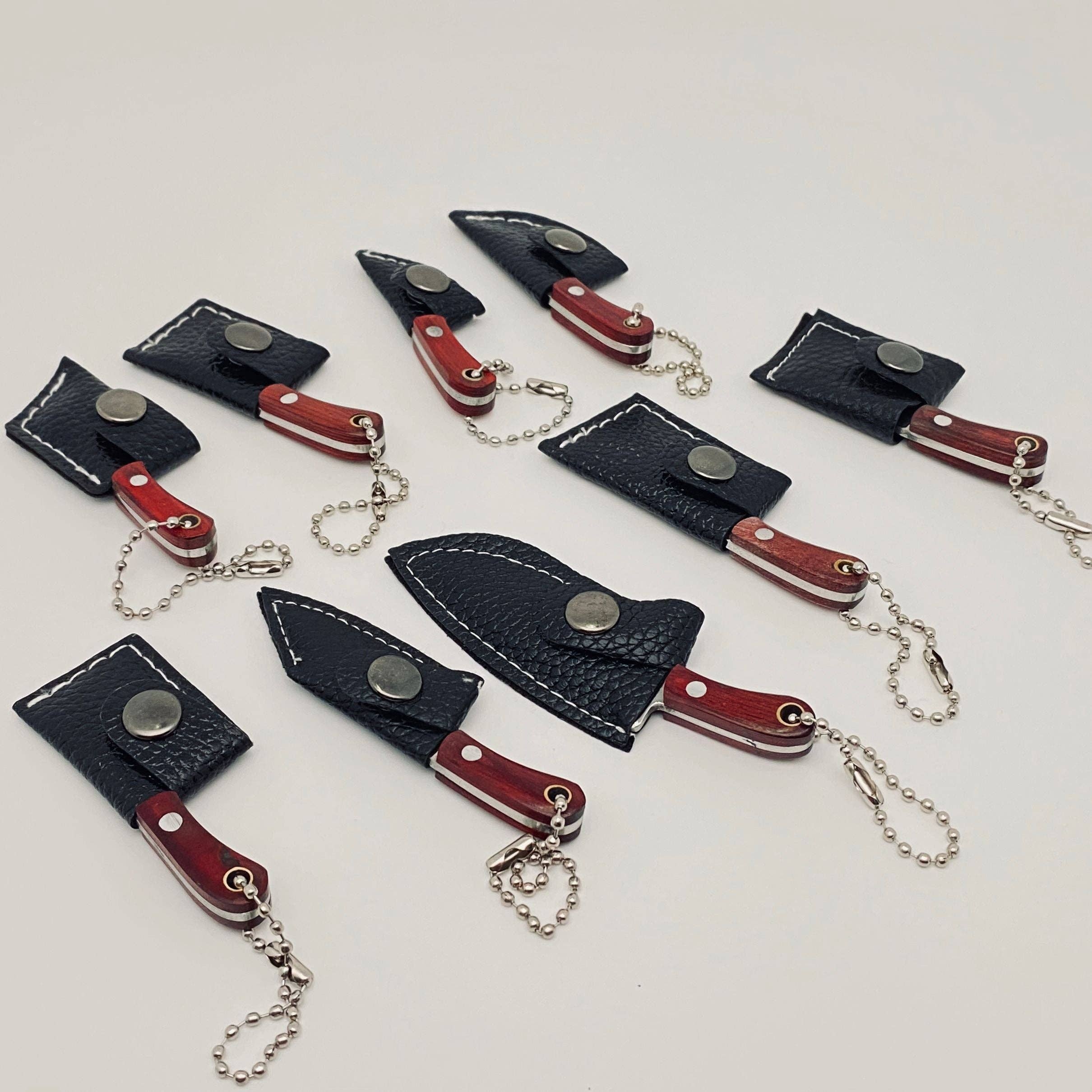 Mini Knife With Key Ring and Case