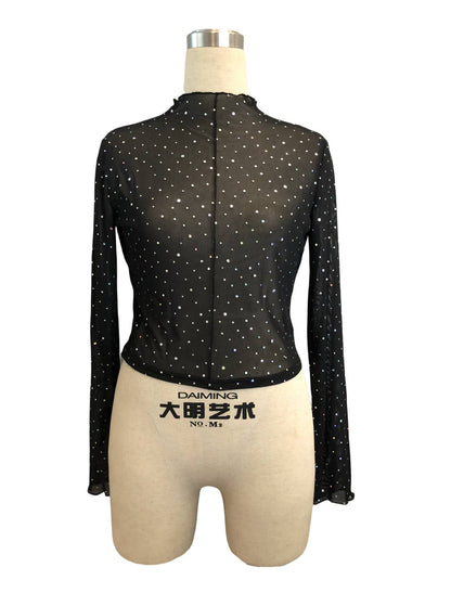 Sequin Long Sleeve Mesh Top