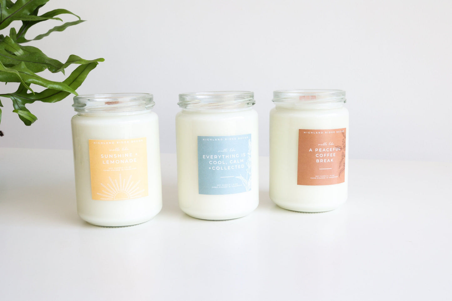 "Everything is Cool, Calm + Collected" Candle.