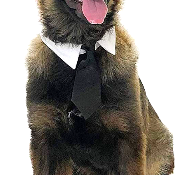 Midlee - Formal Black Doggy Tie.