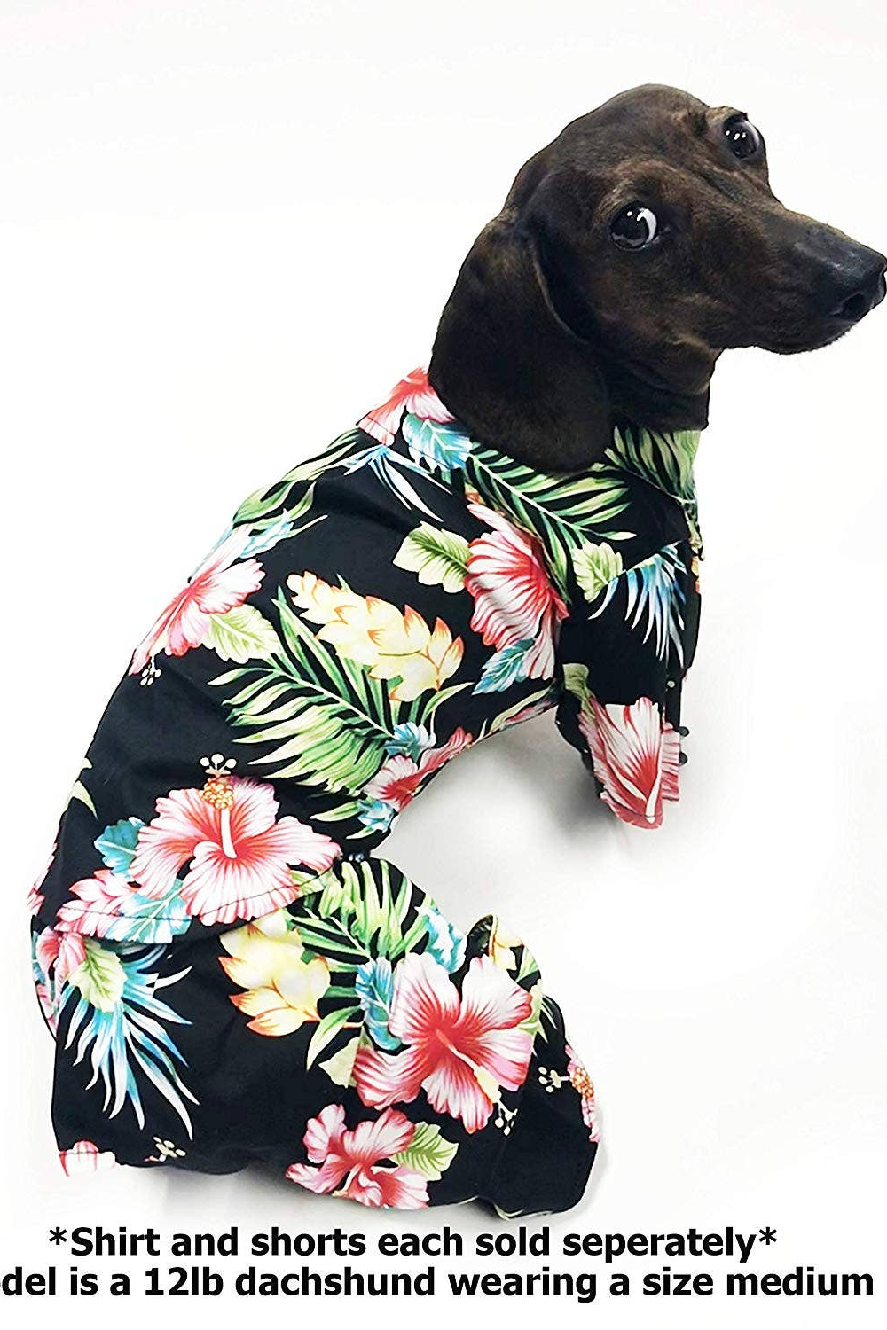 Midlee Hawaiian Shirt for Dogs.