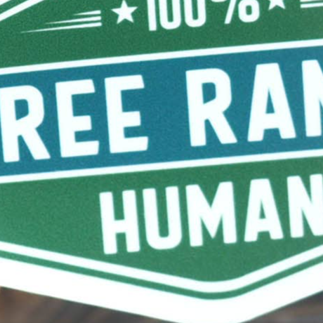 Free Range Human Stickers, Adventure Vinyl Decals