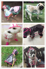 Doggy Raincoat - Various Colors