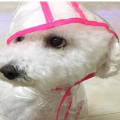 Doggy Raincoat - Various Colors.