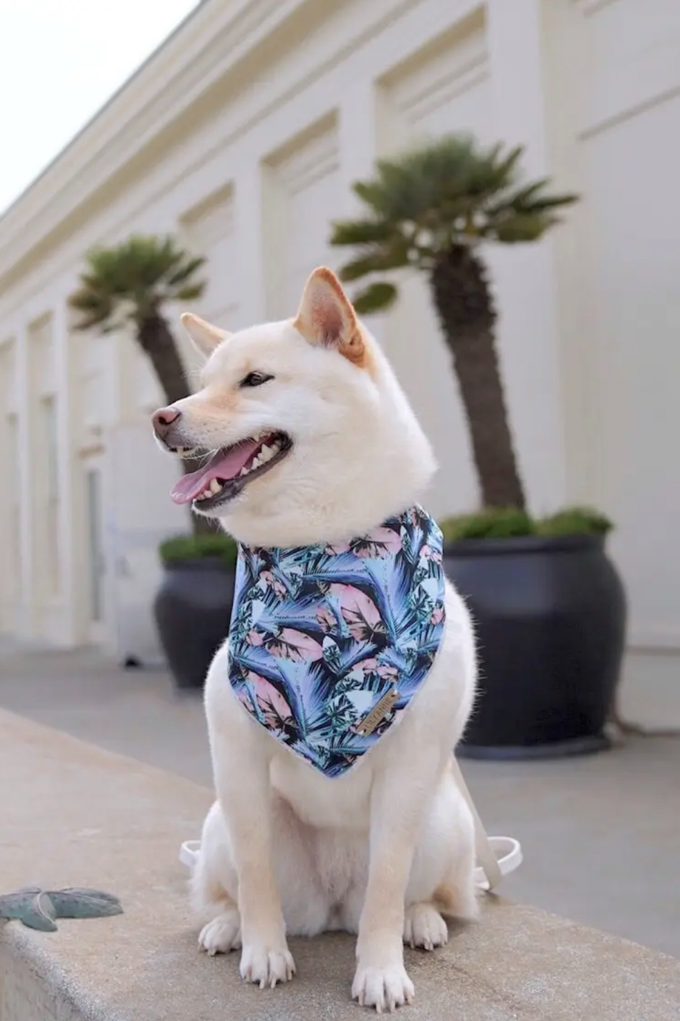 Dog Bandana's by Lily Anne Boutique.