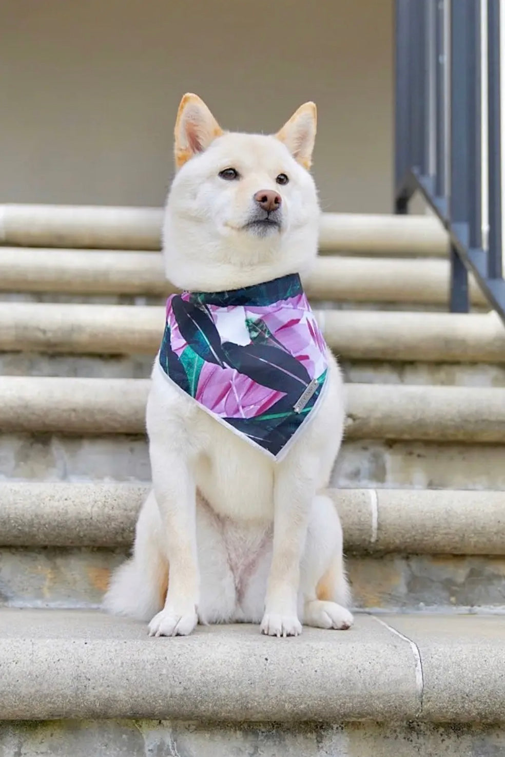 Dog Bandana's by Lily Anne Boutique