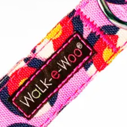 Colorado Dog Collar-Quick Release Buckle