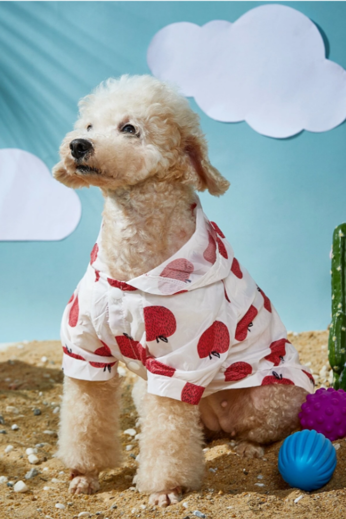 Fruit Print Sun Protection Pet Shirt.
