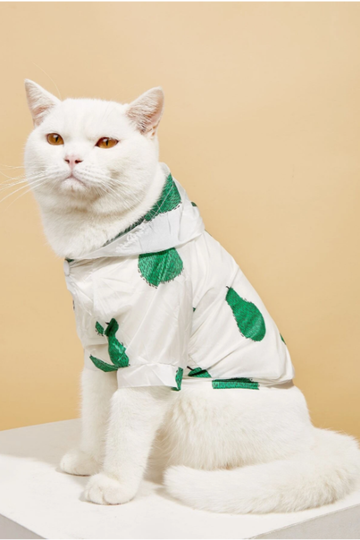 Fruit Print Sun Protection Pet Shirt.