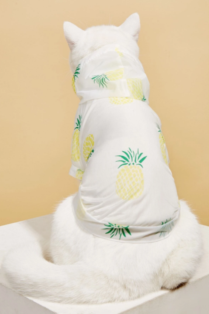 Fruit Print Sun Protection Pet Shirt.