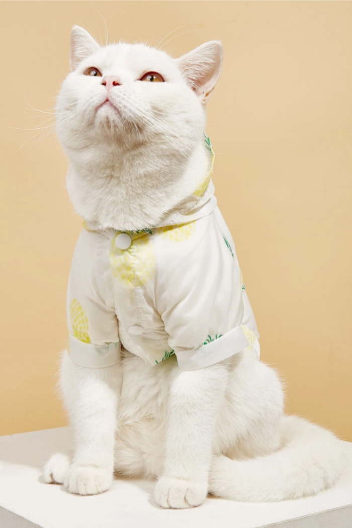 Fruit Print Sun Protection Pet Shirt.