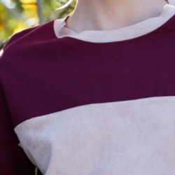 Burgundy Colorblock Long Sleeve Crop Top Sweatshirt