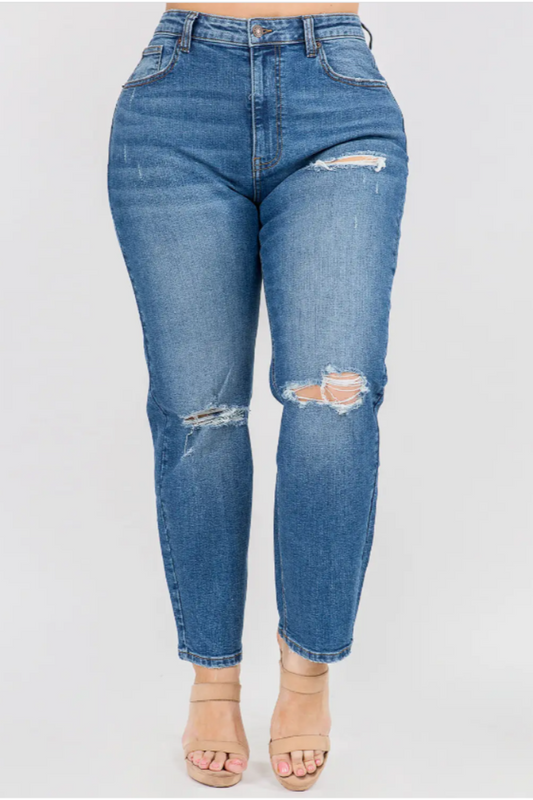 Plus Size High Waist Distressed Jeans.