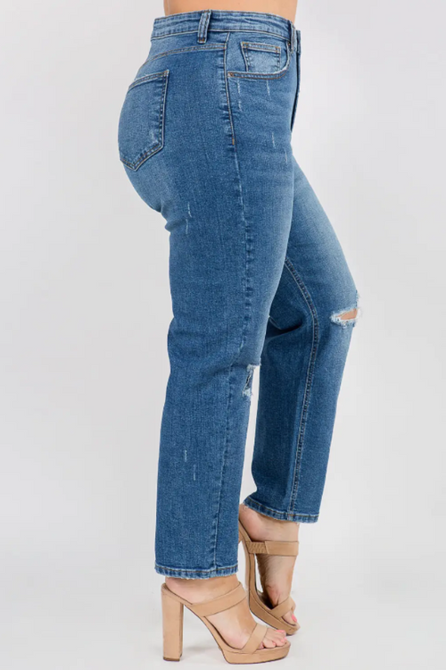 Plus Size High Waist Distressed Jeans