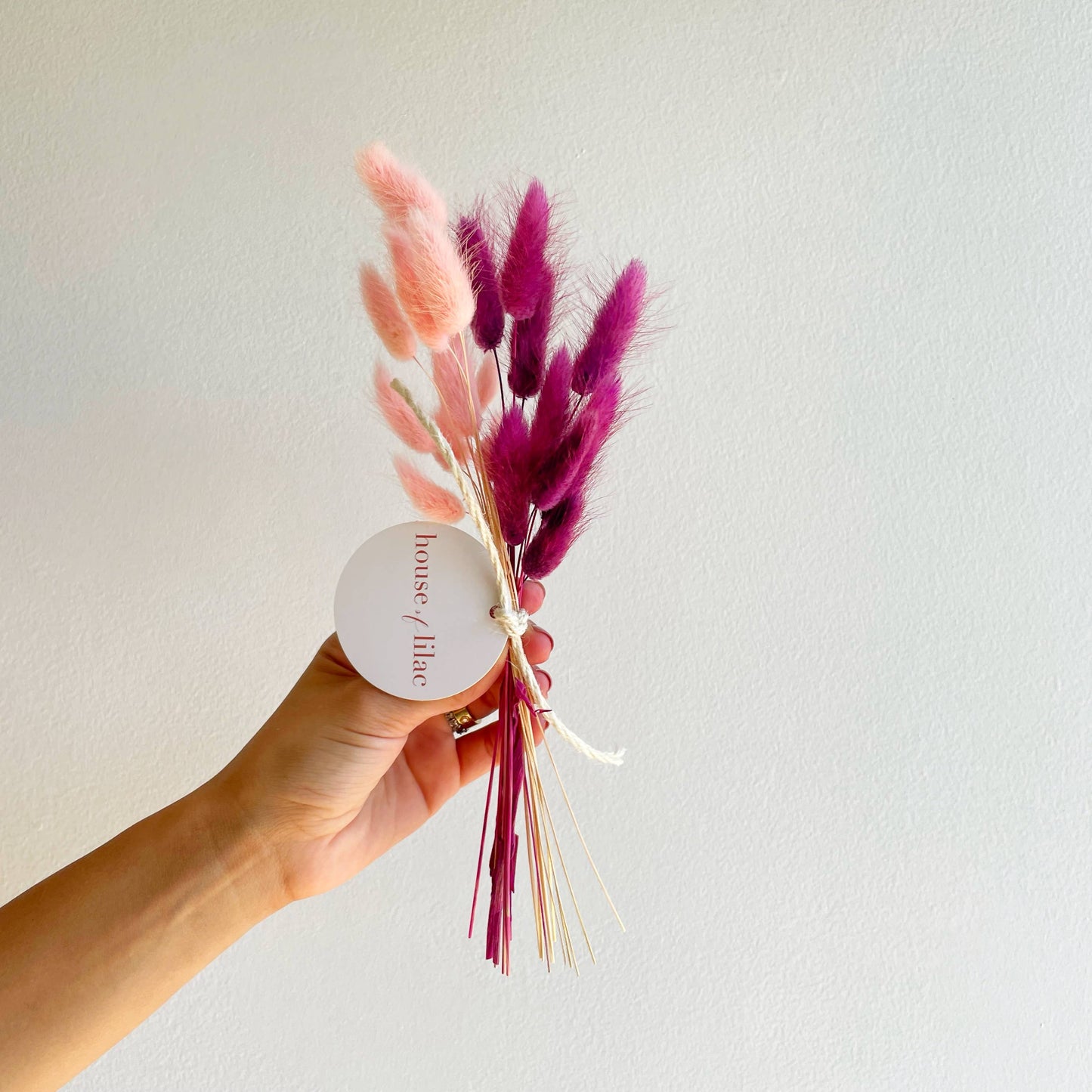 Valentine's Day Dried Flowers: Bunny Tail Bundle Large (pink and purple)